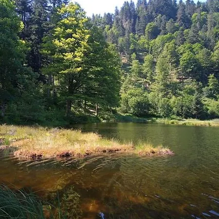 Hirschkopf Im Suedschwarzwald Kleines Wiesental