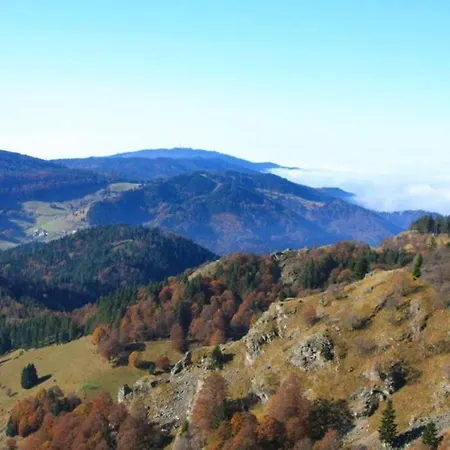 Lägenhet Hirschkopf Im Suedschwarzwald Kleines Wiesental