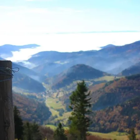 Appartement Hirschkopf Im Suedschwarzwald *