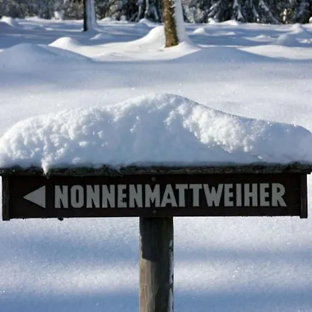 Hirschkopf Im Suedschwarzwald * Kleines Wiesental