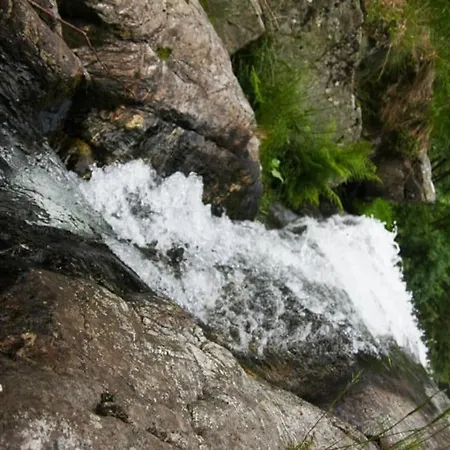 Hirschkopf Im Suedschwarzwald Appartement Kleines Wiesental