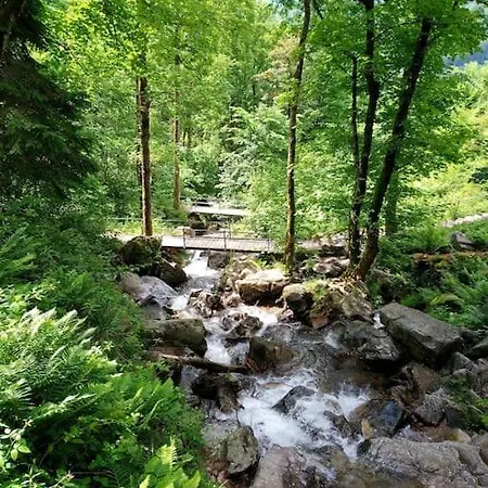 Appartement Hirschkopf Im Suedschwarzwald *