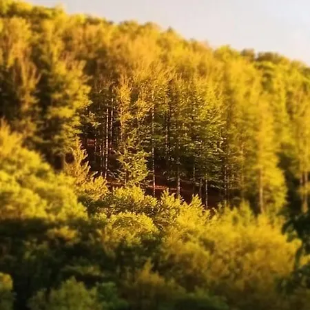 Lägenhet Hirschkopf Im Suedschwarzwald Kleines Wiesental