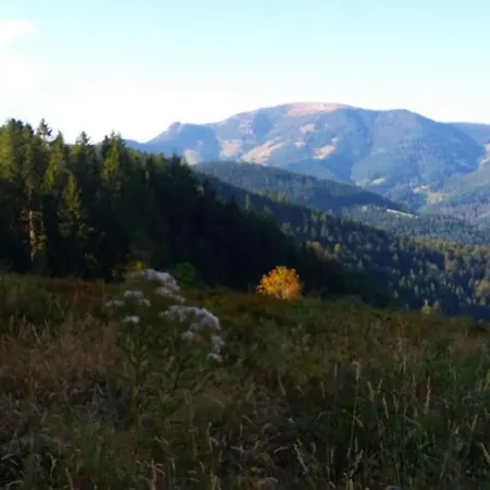 Appartement Hirschkopf Im Suedschwarzwald *
