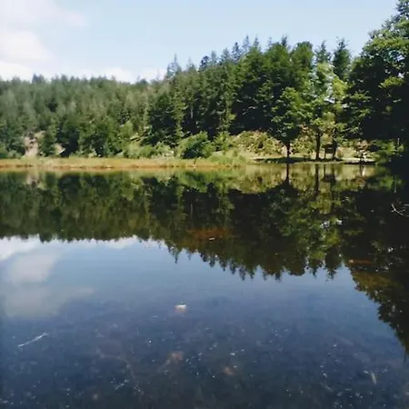 Hirschkopf Im Suedschwarzwald