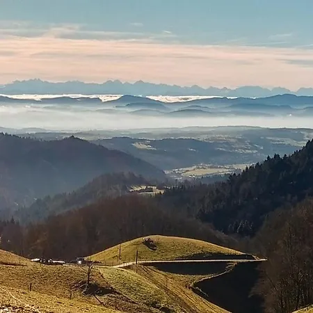 Appartement Hirschkopf Im Suedschwarzwald Kleines Wiesental