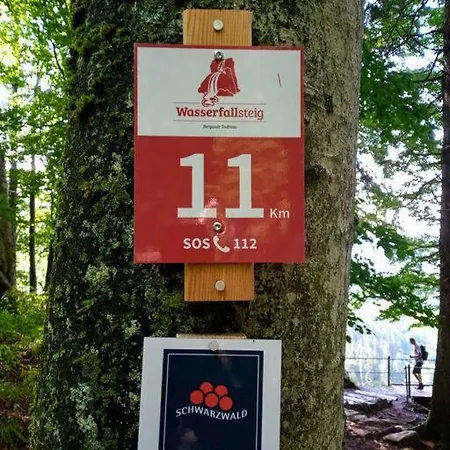 Hirschkopf Im Suedschwarzwald *