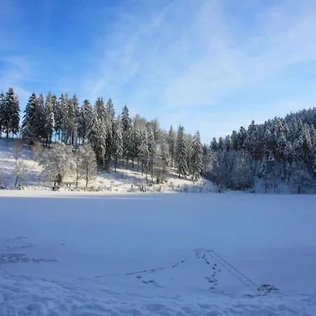 Hirschkopf Im Suedschwarzwald Kleines Wiesental