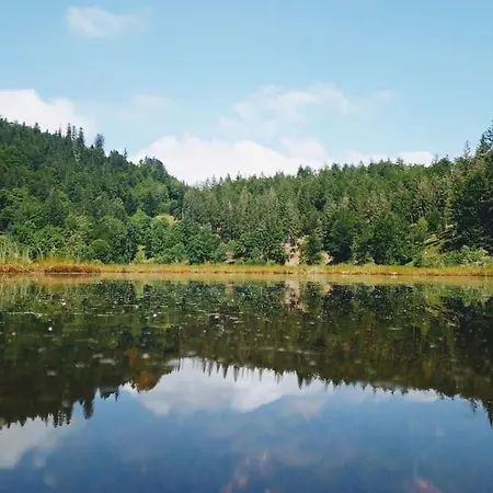 Hirschkopf Im Suedschwarzwald