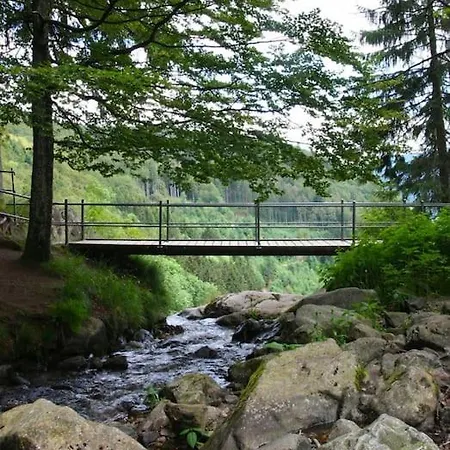 Hirschkopf Im Suedschwarzwald