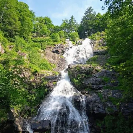 Lägenhet Hirschkopf Im Suedschwarzwald