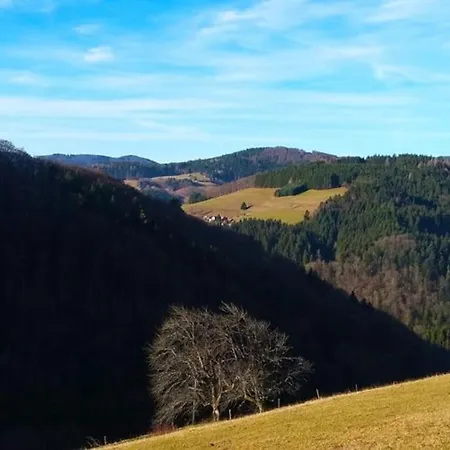 Hirschkopf Im Suedschwarzwald Appartement *